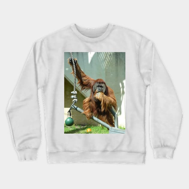 Orangutan Crewneck Sweatshirt by LeanneAllen